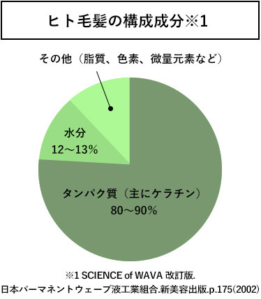 ヒト毛髪の構成成分※1